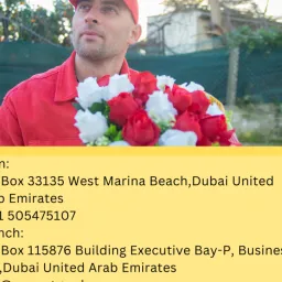 content-author-522043