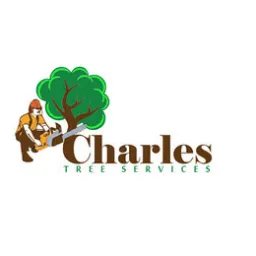 content-author-517505