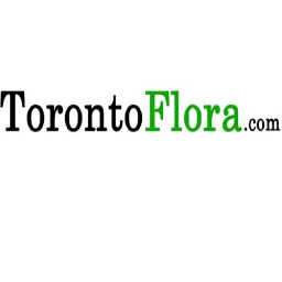 content-author-693450