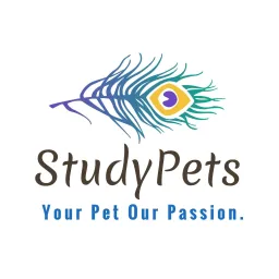content-author-722130