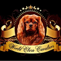 content-author-790032