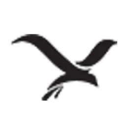 user-avatar
