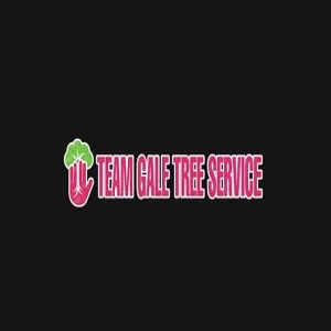 content-author-1506683