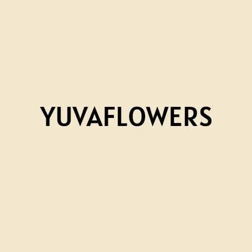 content-author-1366538