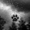 content-author-1520875