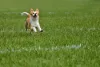 1w6nta2eo4bobp5vxfinz3tqfzzi8on1p0npqkgf.jpg