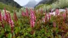 20190827_121718-300x169.webp