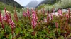 20190827_121718-scaled.webp