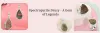 2spectropyrite_druzy_-_history_meaning_symbolism_healing_properties_and_more.jpg