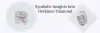 4herkimer_diamond_its_symbolic_me.jpg