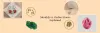 6revelation-of-zodiac-birthstones.jpg