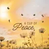 a-cup-of-peace.png
