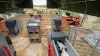agri_span_-_uniwersalne_hale_hodowlane_dla_cielat.jpg