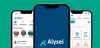 alysei-banner.png