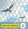 bird_net_service_4.png