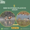 bird_watching_places_in_assam.jpg