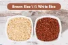 brown20rice20better20than20white20rice.jpg