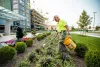 comprehensive_commercial_garden_maintenance.jpg