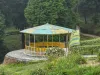 dsc08497.jpg