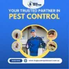 effective_pest_control_gold_coast.jpg