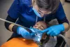 emergency-dentist-norwich.jpg