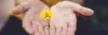 hand.jpg