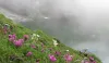 hemkund-shahib-lake.jpg