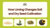 how_liming_changes_soil_and_dry_seed_cultivation.jpg