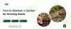 how_to_maintain_garden_for_growing_seeds.jpg