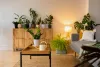 indoor-plants-studio_23-2151022097.jpg