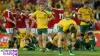 lions-vs-wallabies.jpeg