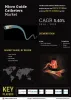 micro-guide-catheters-market.jpg