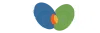 mioolalogomain.png