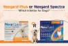 nexgard-plus-vs-nexgard-spectra-for-dogs.jpg
