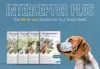 pcc-blog-interceptor_plus_for_dogs.jpg