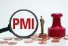 pmi88.jpg