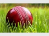 printed_cricket_balls.jpg