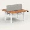 recess_dual_standing_desk.jpg