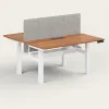 recess_dual_standing_desk.png