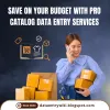 save_on_your_budget_with_pro_catalog_data_entry_services.png