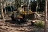 stump_grinding_gold_coast.jpg