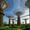 supertrees_de_los_gardens_by_the_bay.jpg