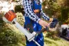 tree-services-in-warwick.jpg