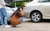 undocumented-immigrant-car-accident.jpg
