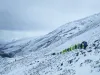 whatsapp_image_2025-06-10_at_12.06.15_pm.jpeg