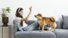 woman-trying-concentrate-her-dog.jpg