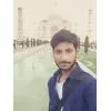 content-author-311473