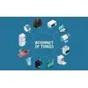 content-author-311839