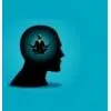 content-author-678242