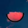 content-author-1189604